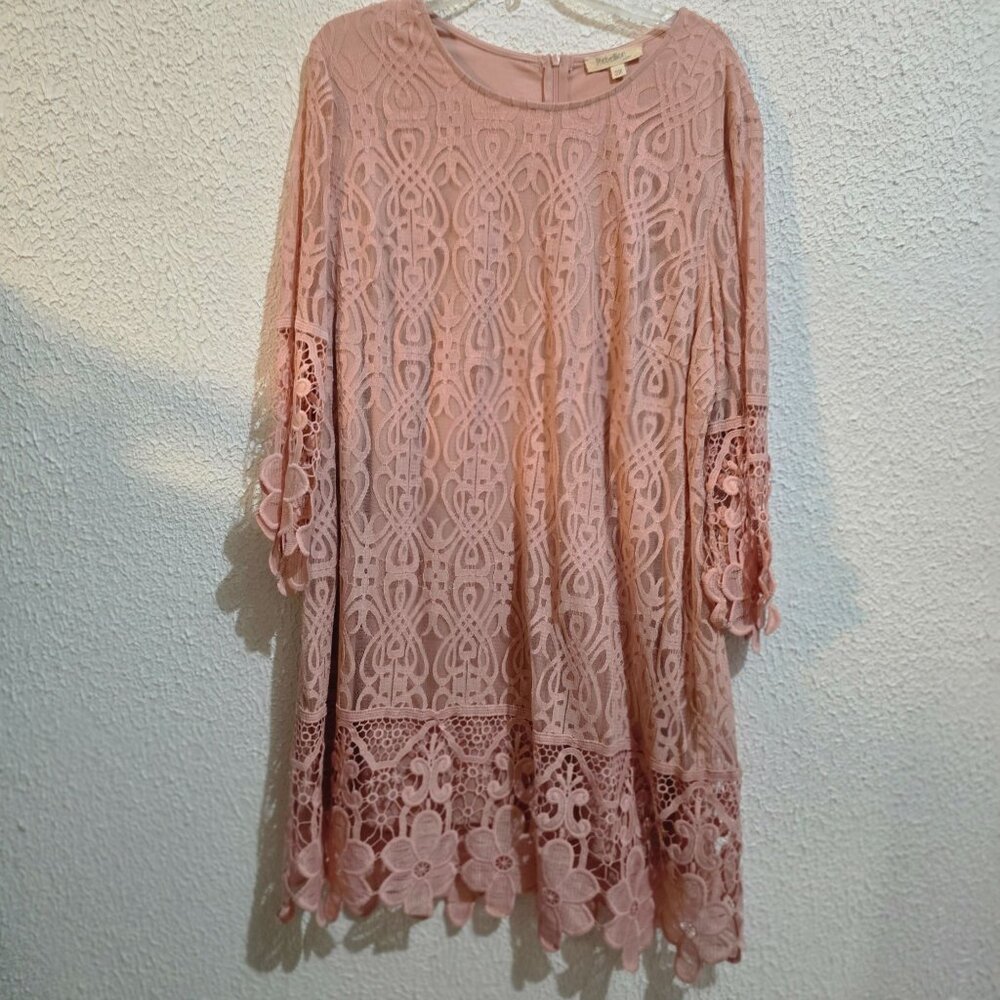 Elegant Rebellion size 3X Pink Lace Dress With Floral Accents & Zipper Closure